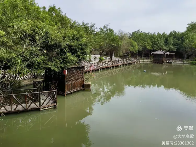 沙溪黄河宝树园203.12.10